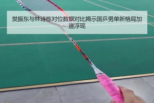 樊振东与林诗栋对位数据对比揭示国乒男单新格局加速浮现